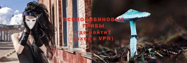 стаф Баксан