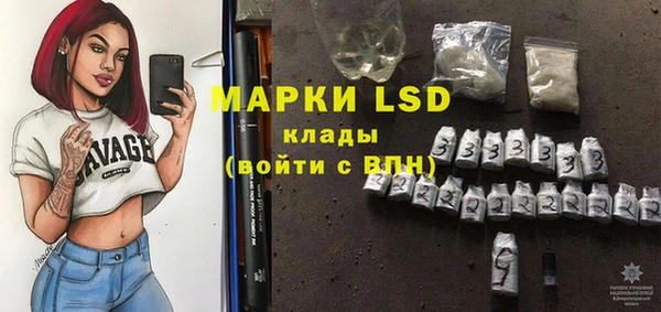 стаф Баксан