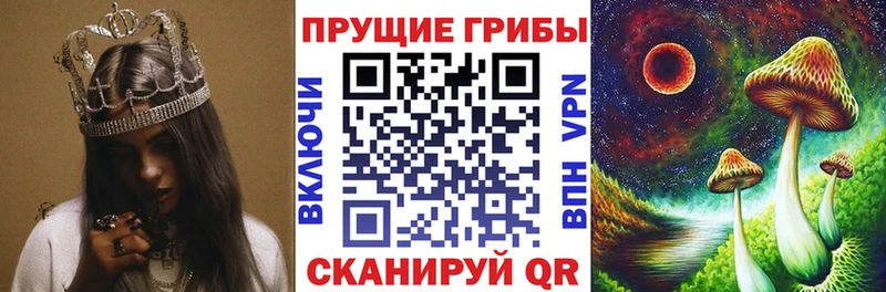 купить   Буй  Галлюциногенные грибы прущие грибы 